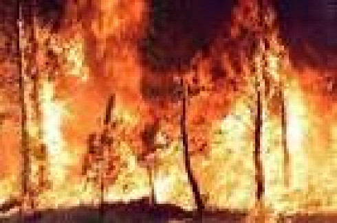 Dichiarazione periodo di grave pericolosità per gli incendi boschivi a...