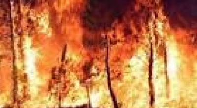 Dichiarazione periodo di grave pericolosità per gli incendi boschivi a...